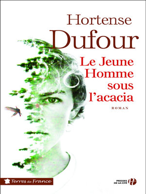 cover image of Le jeune homme sous l'acacia